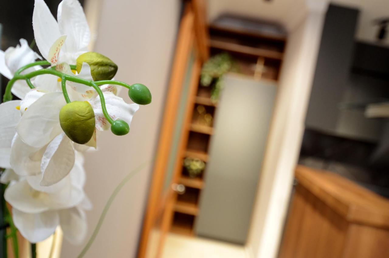 Boka Devine Residence Kotor Dış mekan fotoğraf